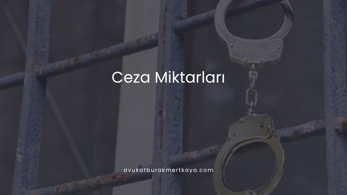 Ceza Miktarları