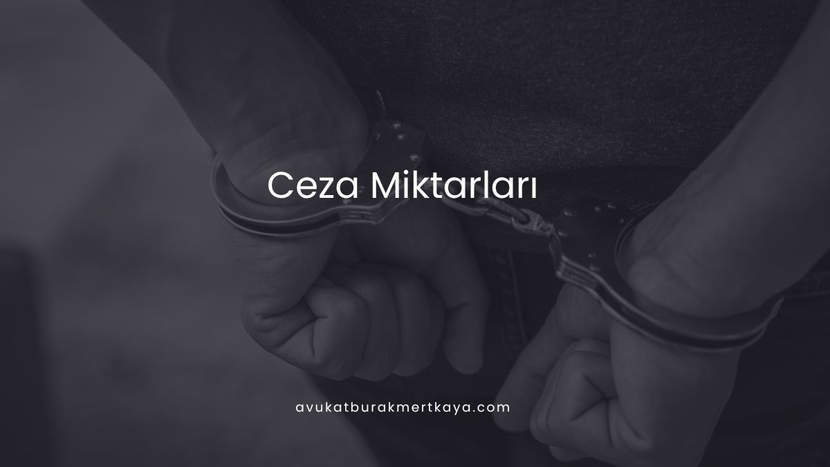 Ceza Miktarları