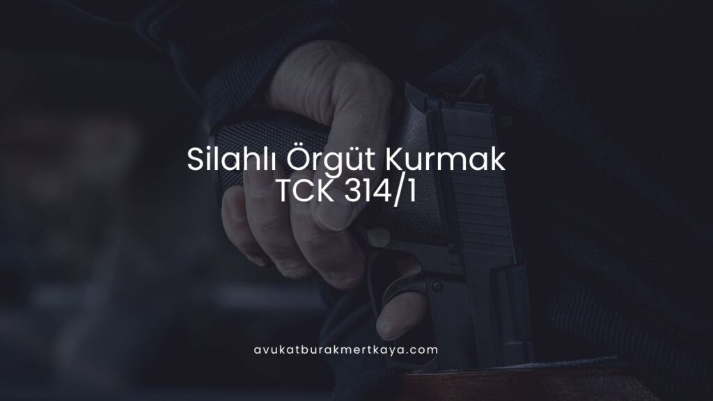 Silahlı Örgüt Kurmak (TCK 314/1)