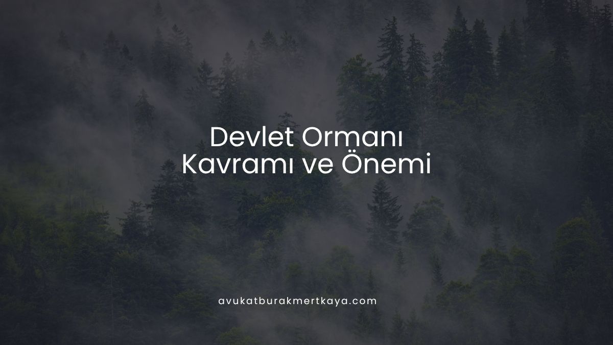 Devlet Ormanı Kavramı ve Önemi