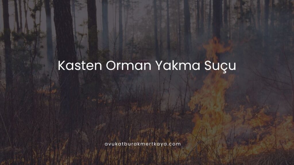 Kasten Orman Yakma Suçu