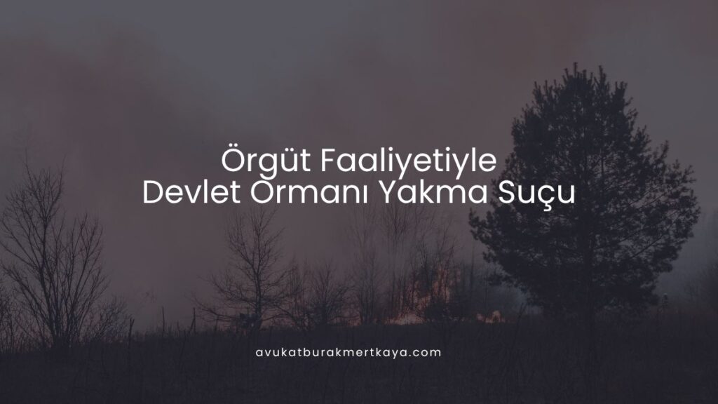 Örgüt Faaliyetiyle Devlet Ormanı Yakma Suçu